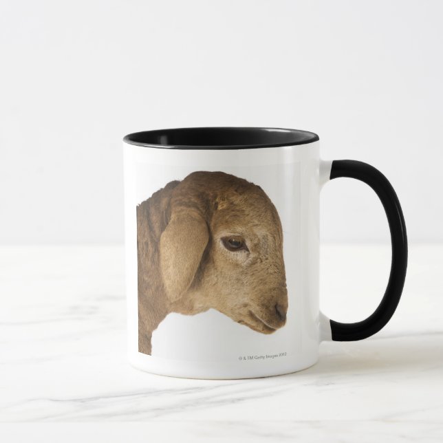 Domestic lamb mug (Right)