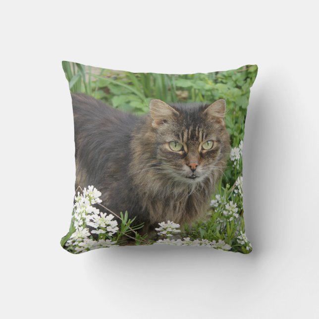 Domestic Long-Haired Cat Cushion (Front)