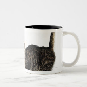 Domestic male tabby cat standing Two-Tone coffee mug