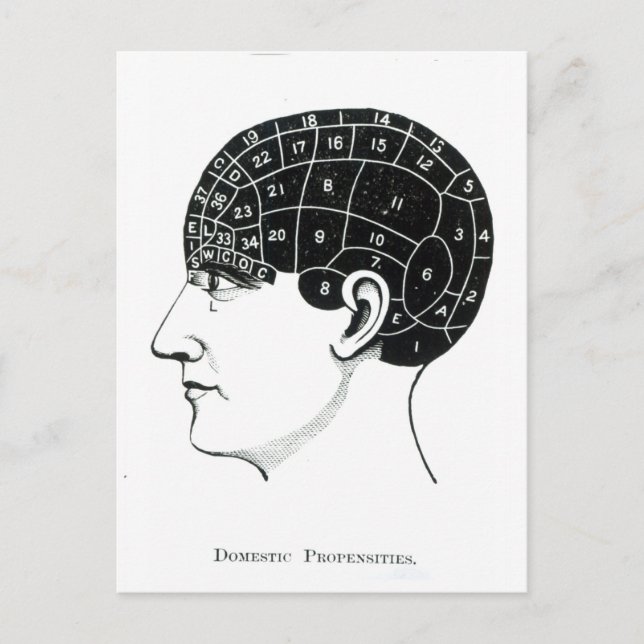 Domestic Propensities Postcard (Front)