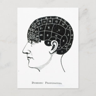 Domestic Propensities Postcard
