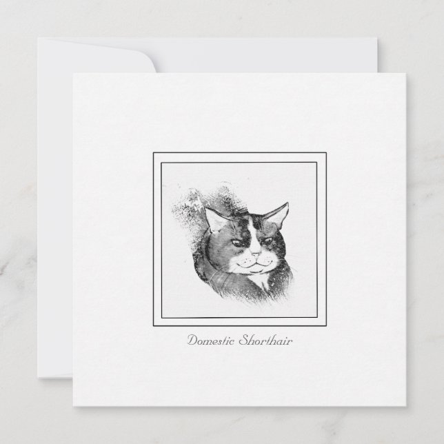 Domestic Shorthair Cat Chalk & Charcoal Sketch Card (Front)