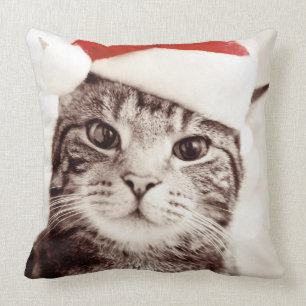 Domestic tabby cat wearing red Christmas hat Cushion