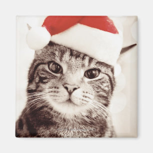 Domestic tabby cat wearing red Christmas hat Magnet