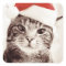 Domestic tabby cat wearing red Christmas hat