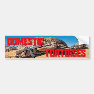 Domestic Tortoises Bumper Sticker