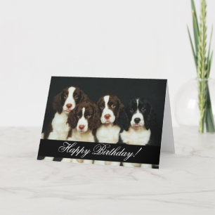 Domesticated Animals 252 Happy Birthday Card