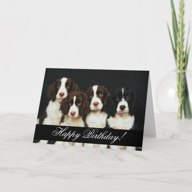Domesticated Animals 252 Happy Birthday Card (Front)