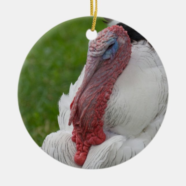 Domesticated Turkey Ceramic Tree Decoration (Front)