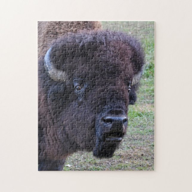 Dominant Bull Bison Jigsaw Puzzle (Vertical)