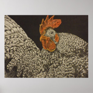 dominecker chicken poster