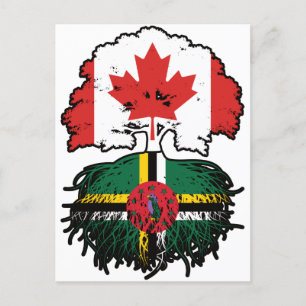 Dominica Dominican Canadian Canada Tree Roots Flag Postcard