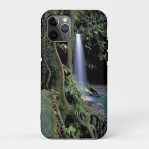 Dominica, Emerald Pool, Waterfall. iPhone 11 Pro Case