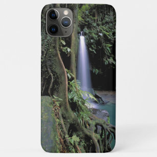 Dominica, Emerald Pool, Waterfall. iPhone 11 Pro Max Case