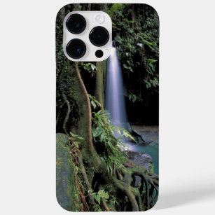 Dominica, Emerald Pool, Waterfall. Case-Mate iPhone 14 Pro Max Case