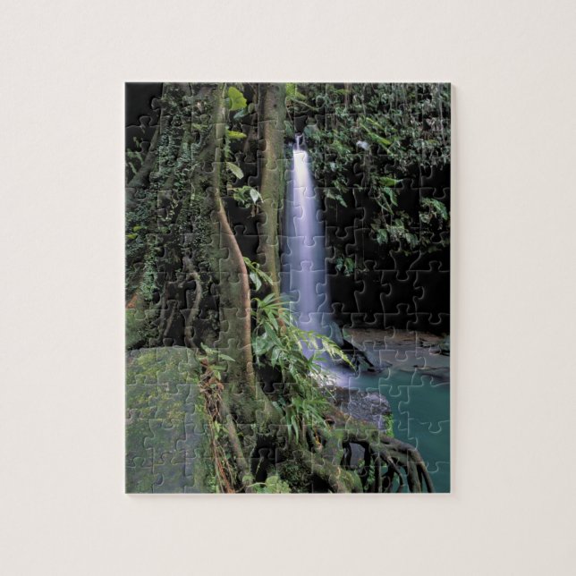 Dominica, Emerald Pool, Waterfall. Jigsaw Puzzle (Vertical)