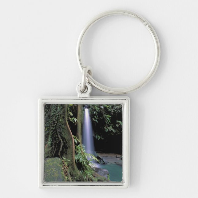 Dominica, Emerald Pool, Waterfall. Key Ring (Front)