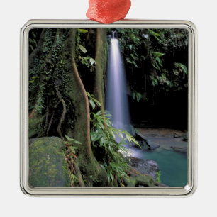 Dominica, Emerald Pool, Waterfall. Metal Tree Decoration