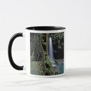 Dominica, Emerald Pool, Waterfall. Mug