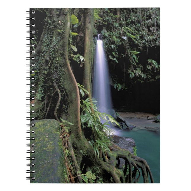 Dominica, Emerald Pool, Waterfall. Notebook (Front)