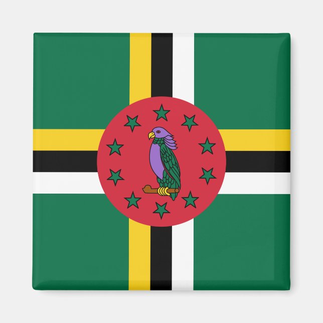 Dominica Flag Magnet (Front)