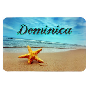 Dominica starfish magnet