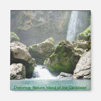 Dominica waterfall magnet