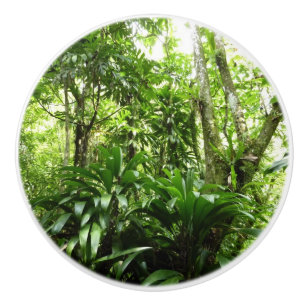 Dominican Rain Forest I Tropical Green Nature Ceramic Knob