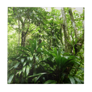 Dominican Rain Forest I Tropical Green Nature Ceramic Tile