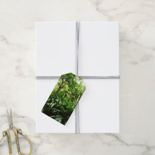 Dominican Rain Forest I Tropical Green Nature Gift Tags