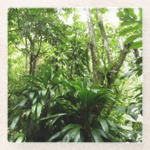 Dominican Rain Forest I Tropical Green Nature Glass Coaster