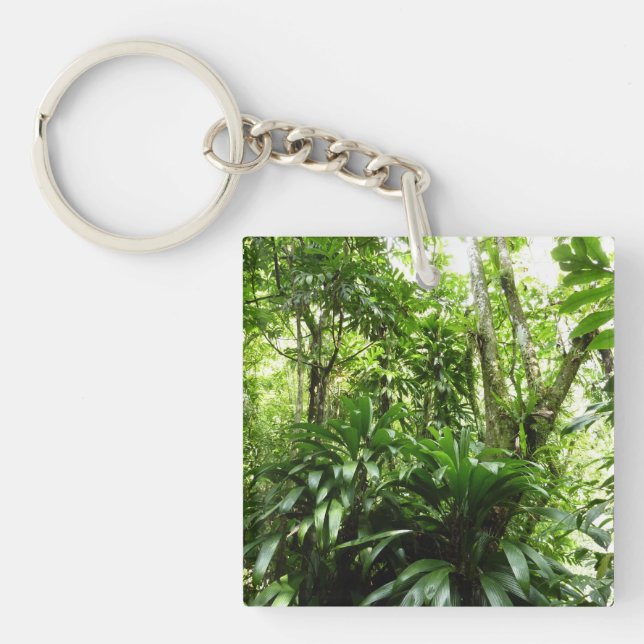 Dominican Rain Forest I Tropical Green Nature Key Ring (Front)