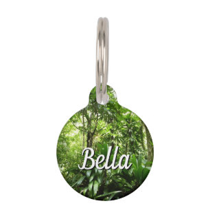 Dominican Rain Forest I Tropical Green Nature Pet Tag