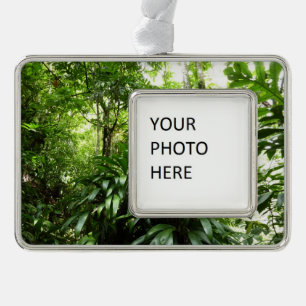 Dominican Rain Forest I Tropical Green Nature Silver Plated Framed Ornament