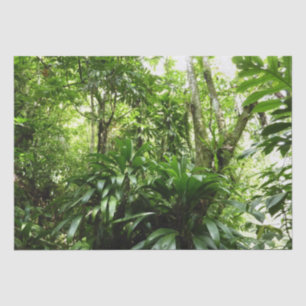 Dominican Rain Forest I Tropical Green Nature Tissue Paper