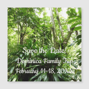 Dominican Rain Forest I Tropical Save the Date