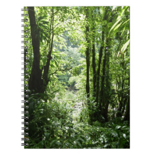 Dominican Rain Forest II Tropical Green Notebook