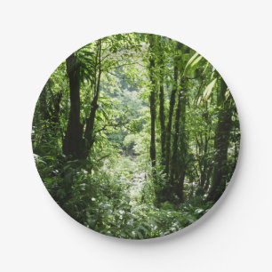 Dominican Rain Forest II Tropical Green Paper Plate