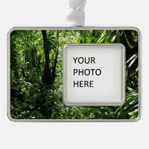 Dominican Rain Forest II Tropical Green Silver Plated Framed Ornament