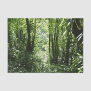 Dominican Rain Forest II Tropical Green Tissue Paper