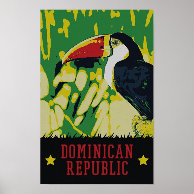 Dominican Republic amazing tucan Postcard Poster (Front)