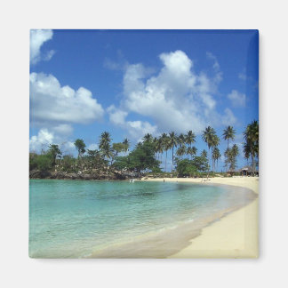Dominican Republic Beach Magnet