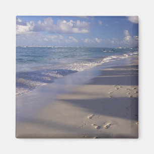 Dominican Republic, Caribbean, Punta Cana, 4 Magnet