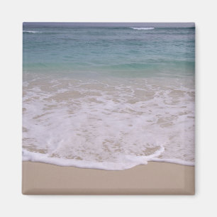Dominican Republic, Caribbean, Punta Cana, 8 Magnet