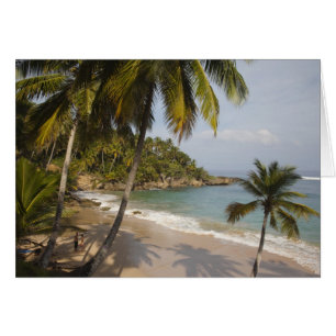 Dominican Republic, North Coast, Abreu, Playa 3