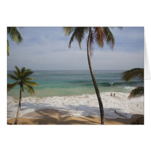 Dominican Republic, North Coast, Abreu, Playa 4