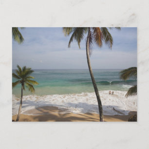 Dominican Republic, North Coast, Abreu, Playa 4 Postcard