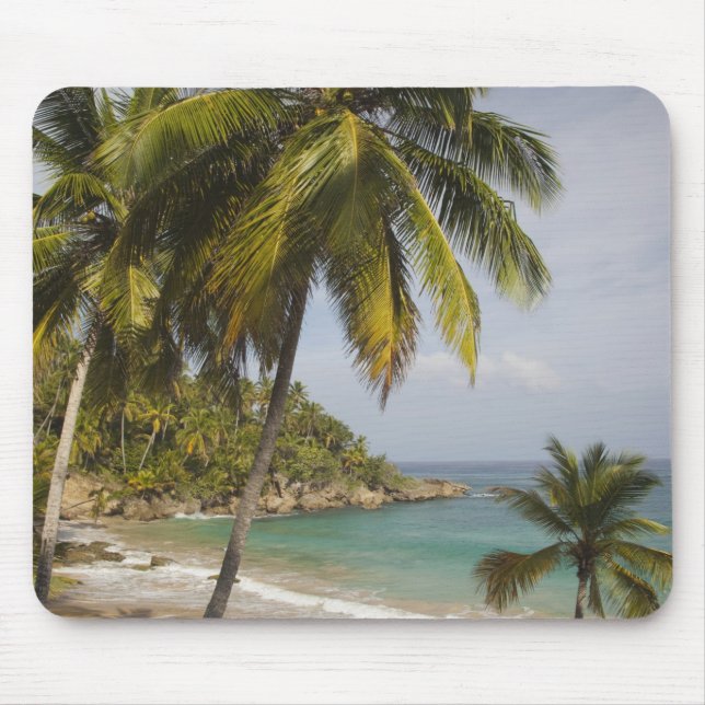 Dominican Republic, North Coast, Abreu, Playa Mouse Pad (Front)