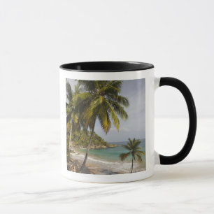 Dominican Republic, North Coast, Abreu, Playa Mug