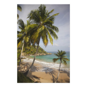 Dominican Republic, North Coast, Abreu, Playa Photo Print
